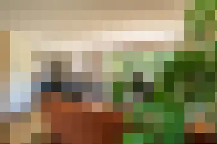 Rietzoom 17 Delfzijl thumbnail 41