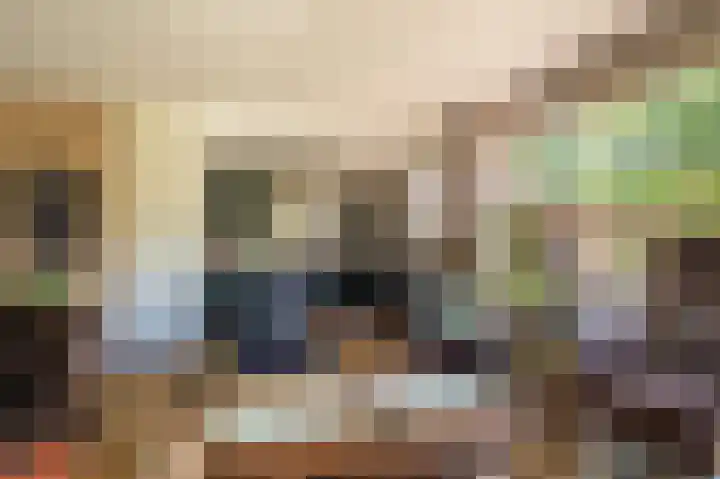 Rietzoom 17 Delfzijl thumbnail 42