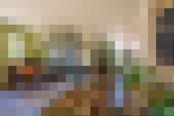Rietzoom 17 Delfzijl thumbnail 46