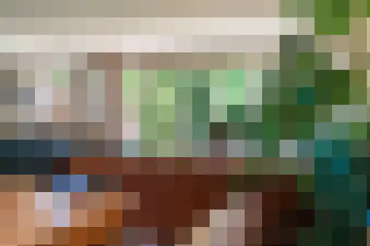 Rietzoom 17 Delfzijl thumbnail 48