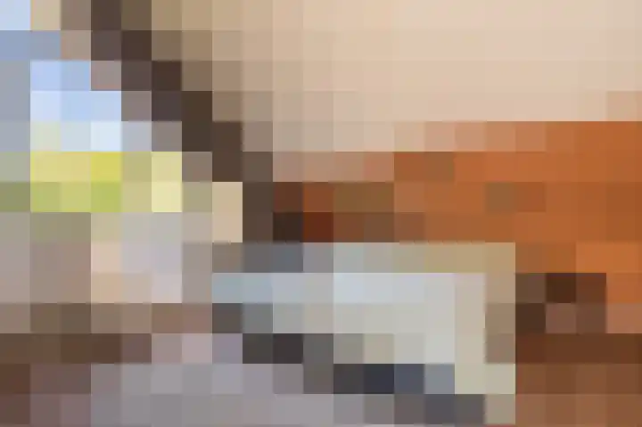 Rietzoom 17 Delfzijl thumbnail 56