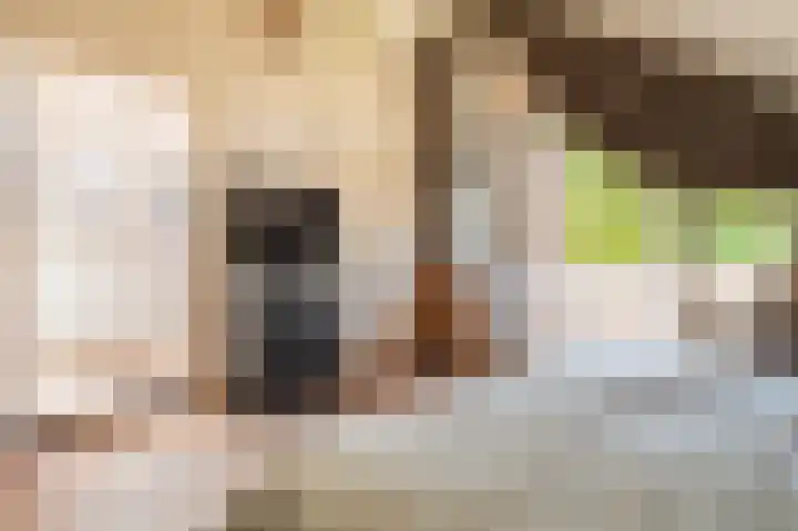 Rietzoom 17 Delfzijl thumbnail 57