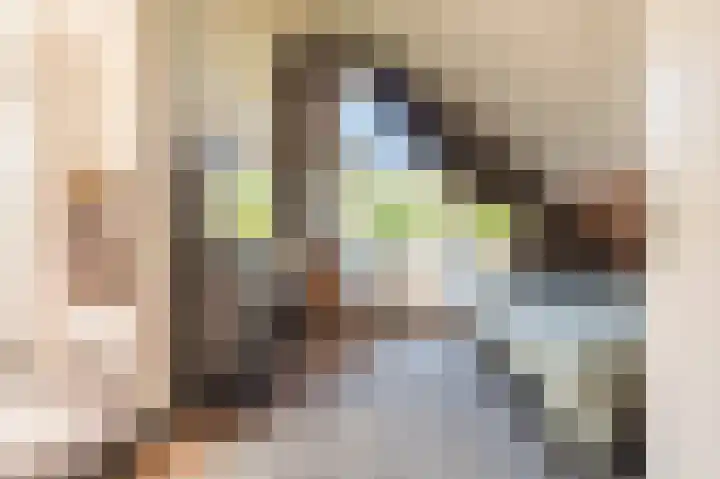 Rietzoom 17 Delfzijl thumbnail 58