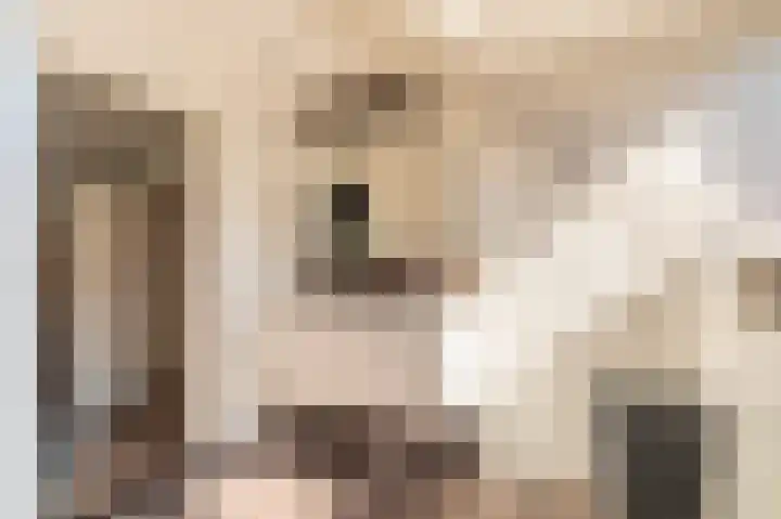 Rietzoom 17 Delfzijl thumbnail 59