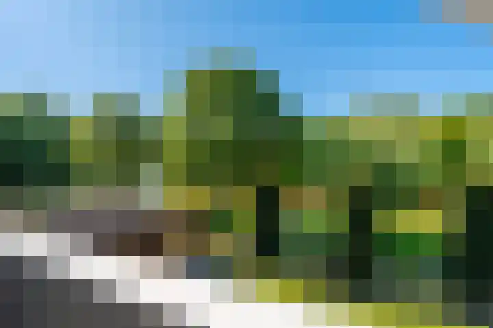 Rietzoom 17 Delfzijl thumbnail 63