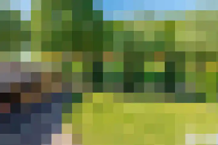 Rietzoom 17 Delfzijl thumbnail 64