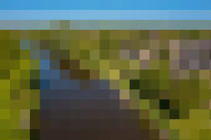 Rietzoom 17 Delfzijl thumbnail 9