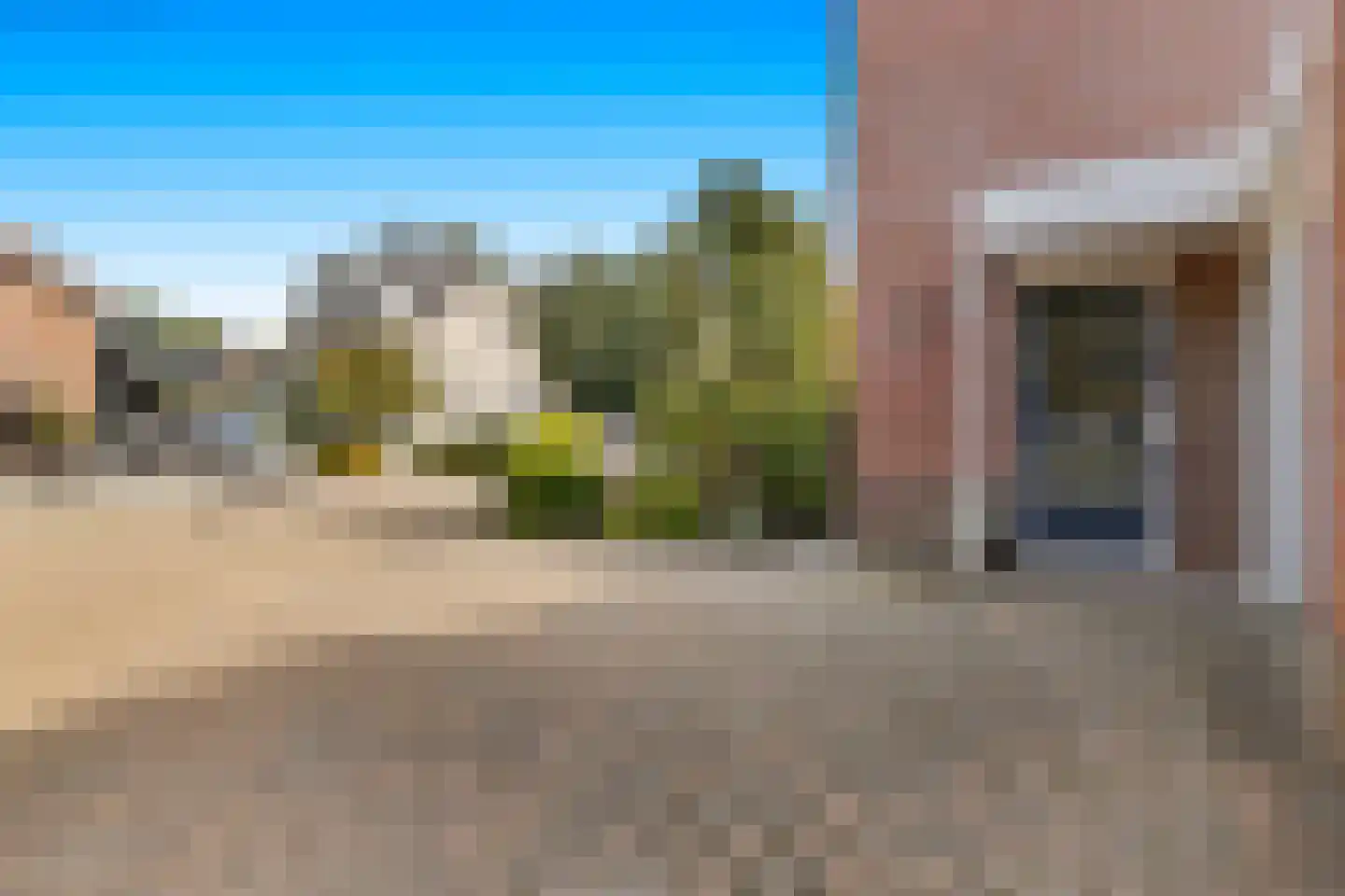 Rietzoom 8 Delfzijl thumbnail 11