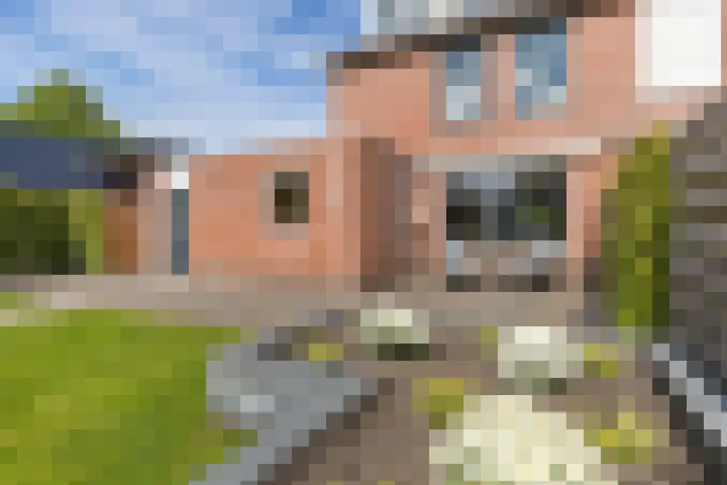 Rietzoom 8 Delfzijl thumbnail 42