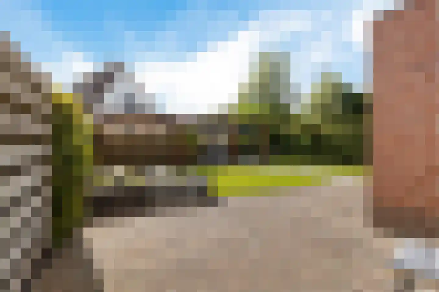 Rietzoom 8 Delfzijl thumbnail 43