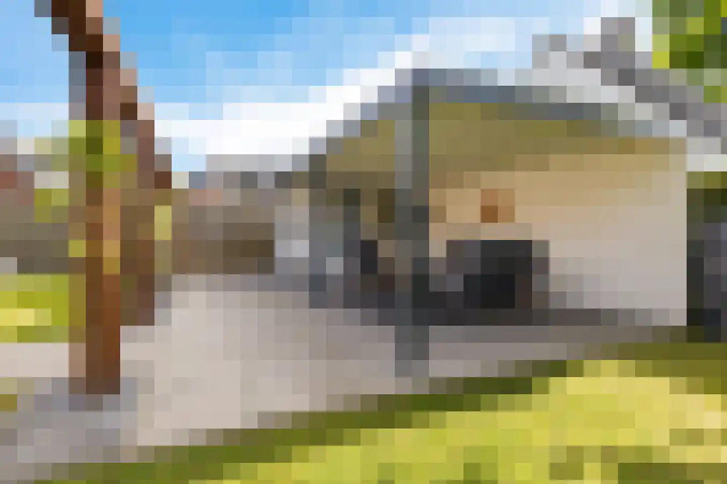Rietzoom 8 Delfzijl thumbnail 46