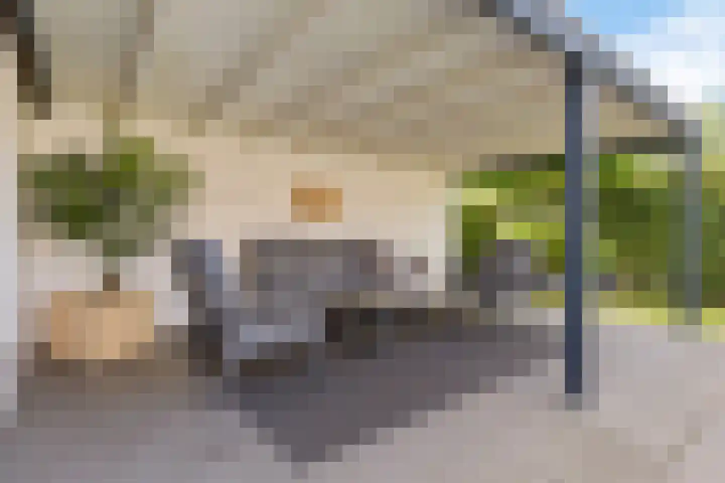 Rietzoom 8 Delfzijl thumbnail 48