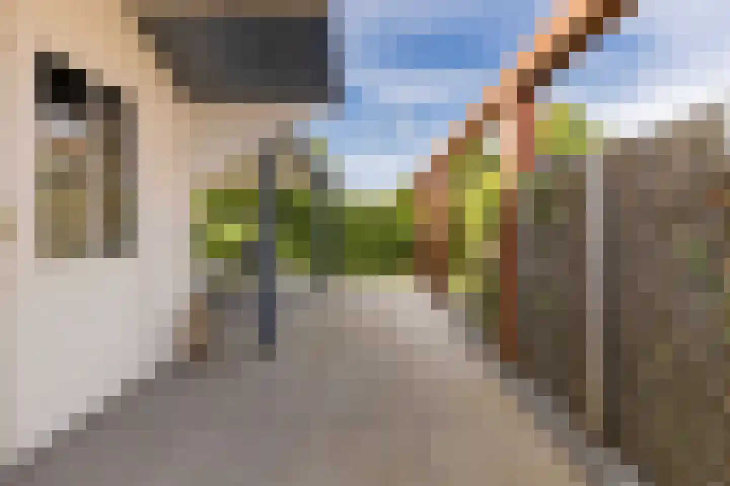 Rietzoom 8 Delfzijl thumbnail 50