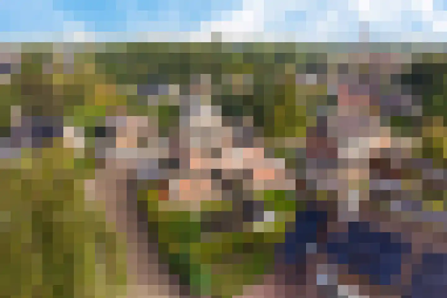Rietzoom 8 Delfzijl thumbnail 52