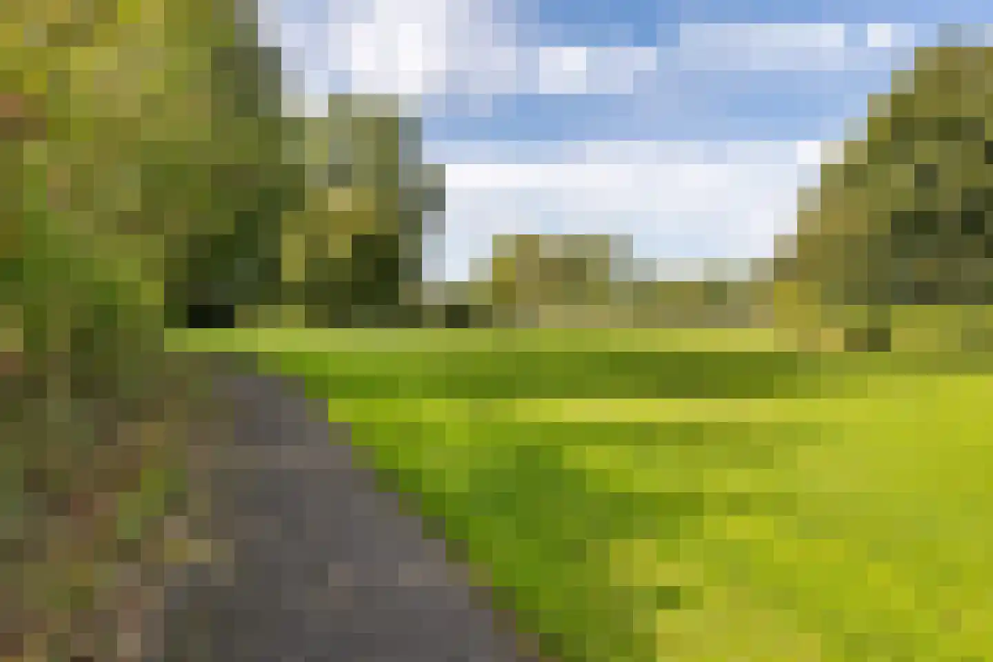 Rietzoom 8 Delfzijl thumbnail 54