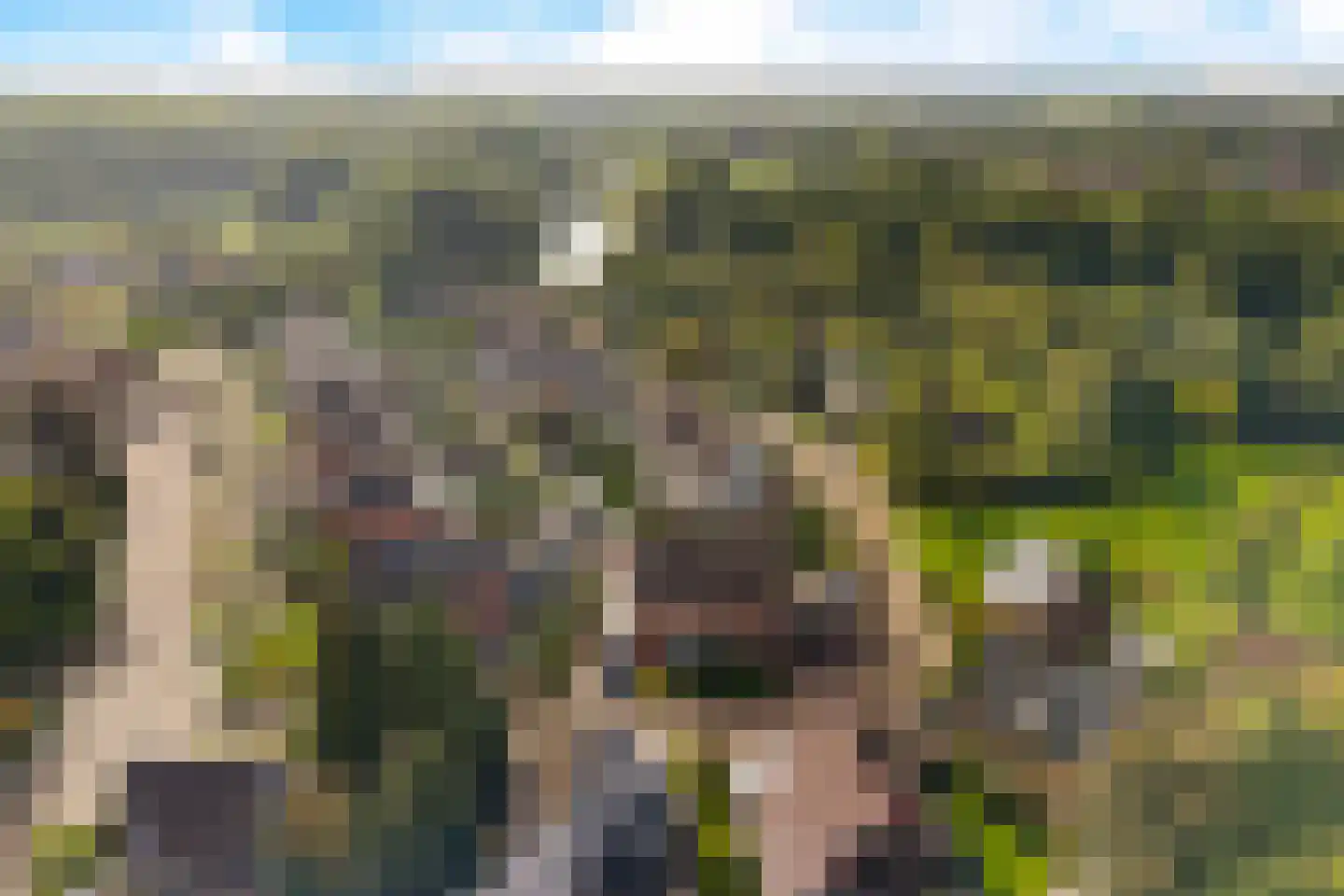 Rietzoom 8 Delfzijl thumbnail 55