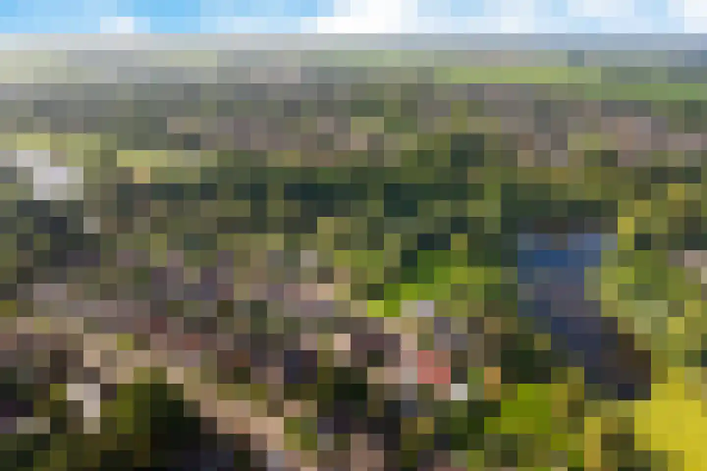 Rietzoom 8 Delfzijl thumbnail 56