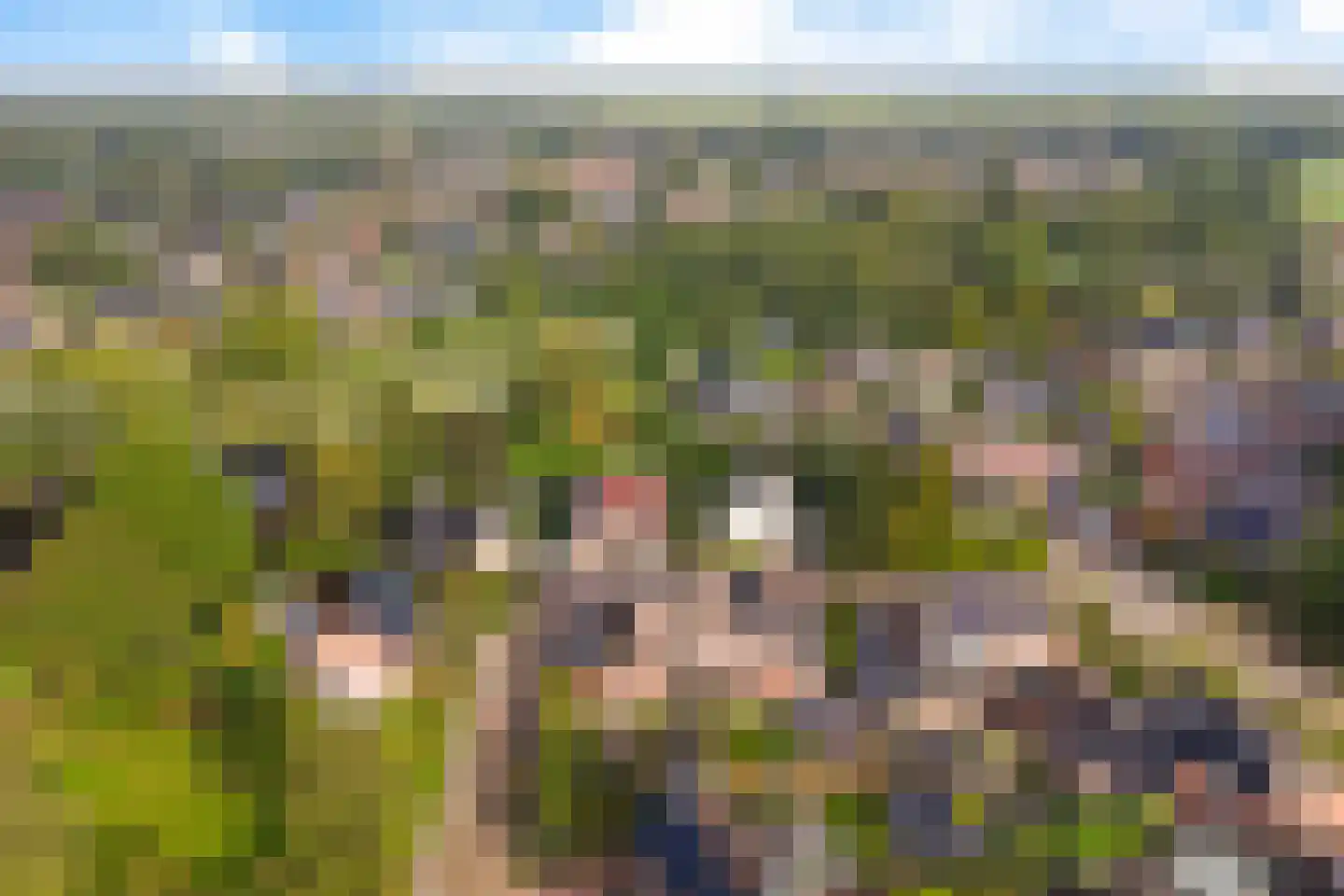 Rietzoom 8 Delfzijl thumbnail 57