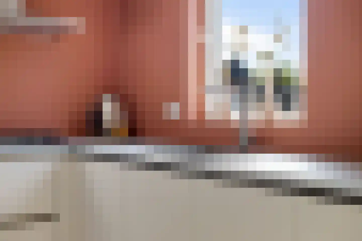 Rietzoom 8 Delfzijl thumbnail 6