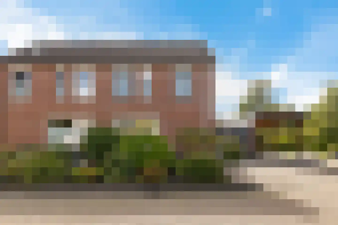 Rietzoom 8 Delfzijl thumbnail 8