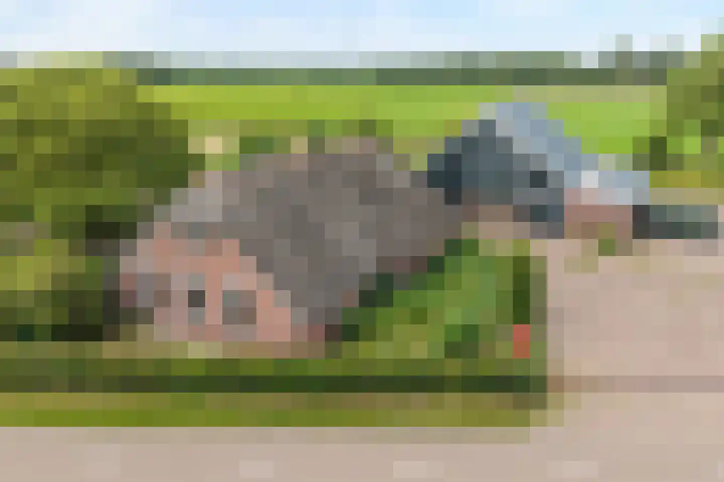 Rieweg 1 Wachtum thumbnail 10