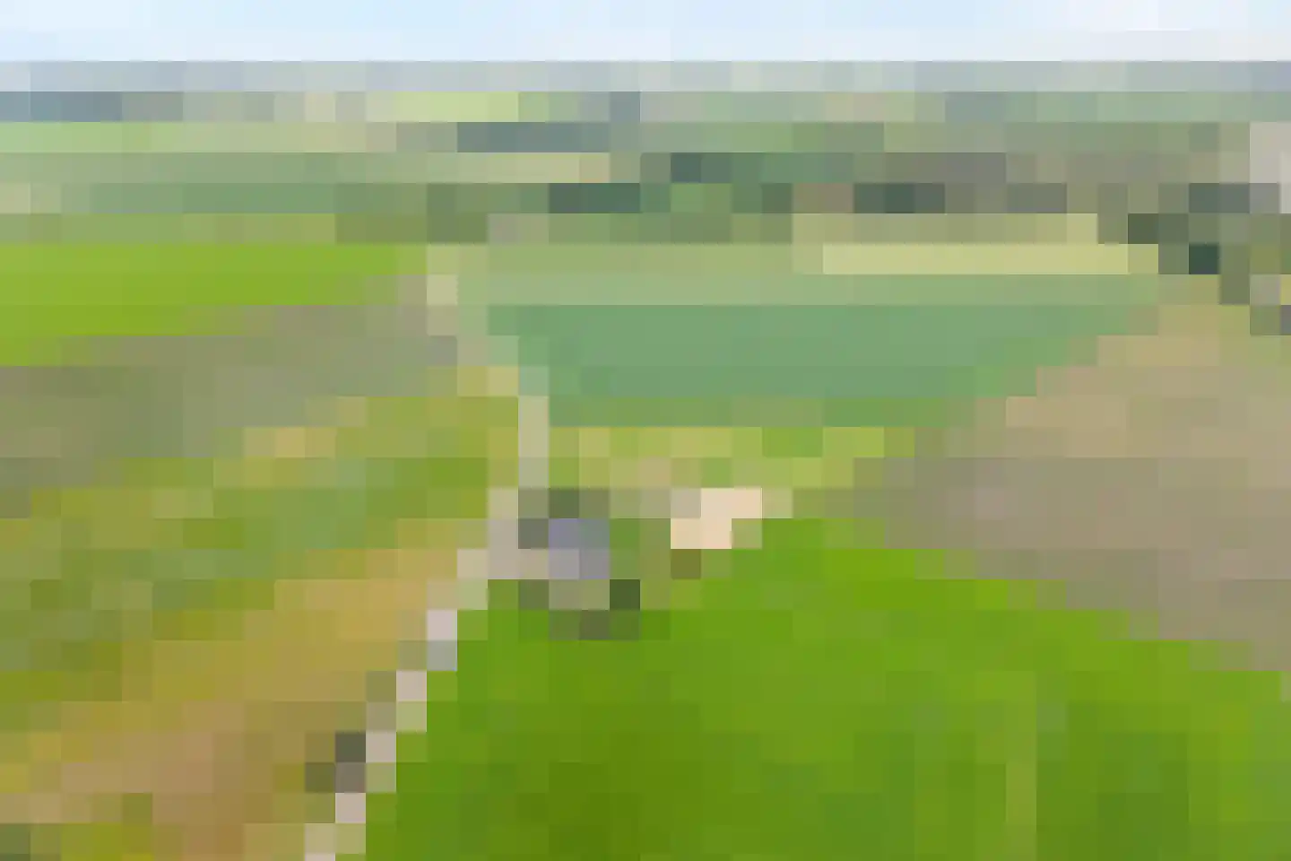 Rieweg 1 Wachtum thumbnail 12