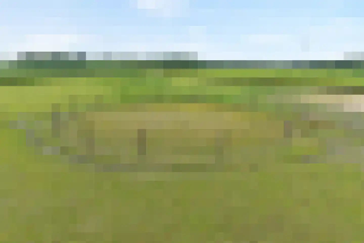 Rieweg 1 Wachtum thumbnail 13