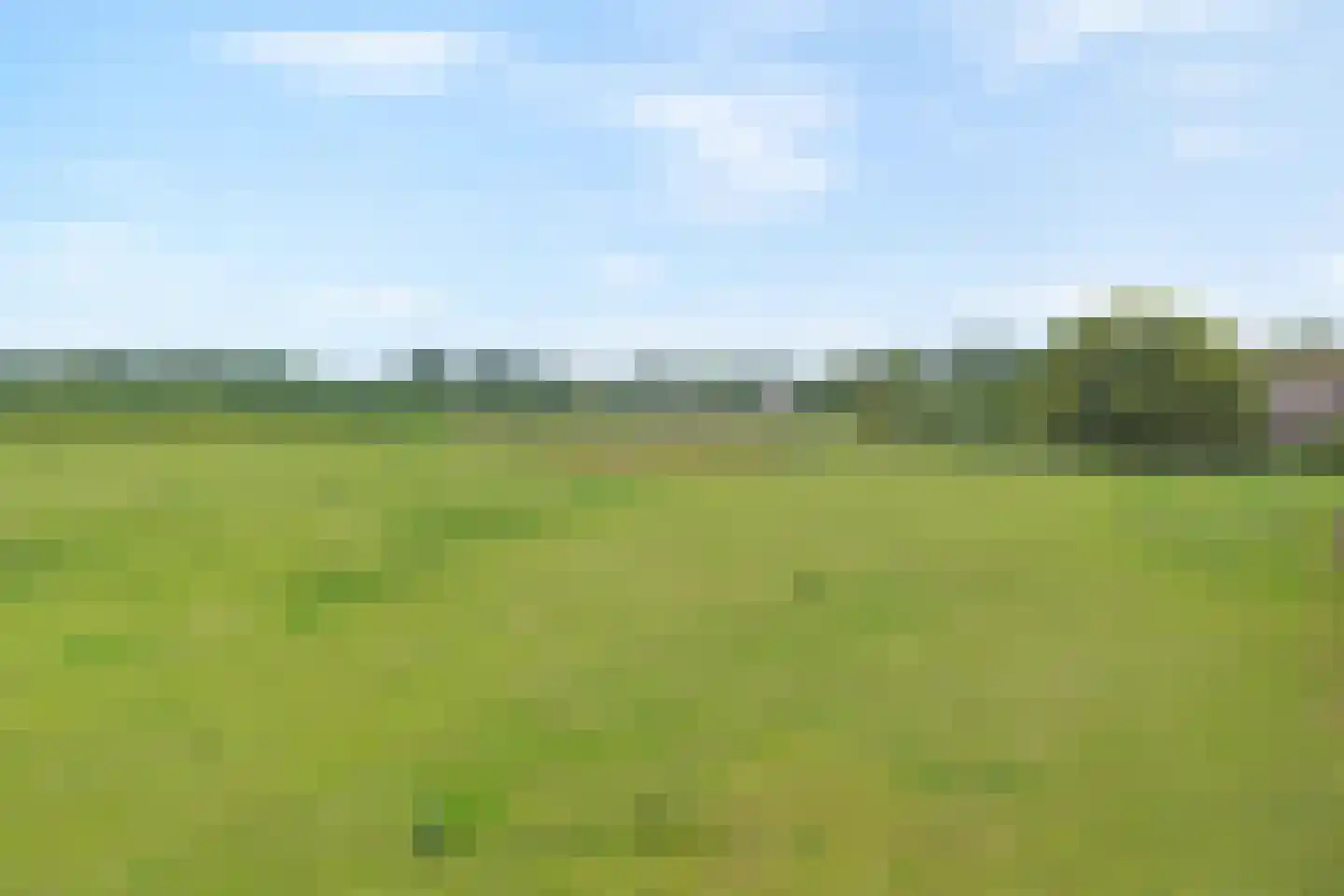Rieweg 1 Wachtum thumbnail 14