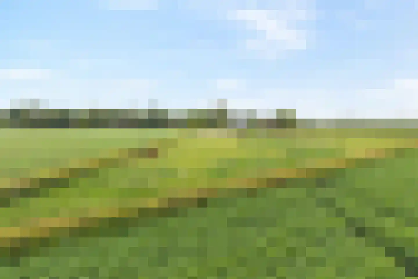 Rieweg 1 Wachtum thumbnail 15