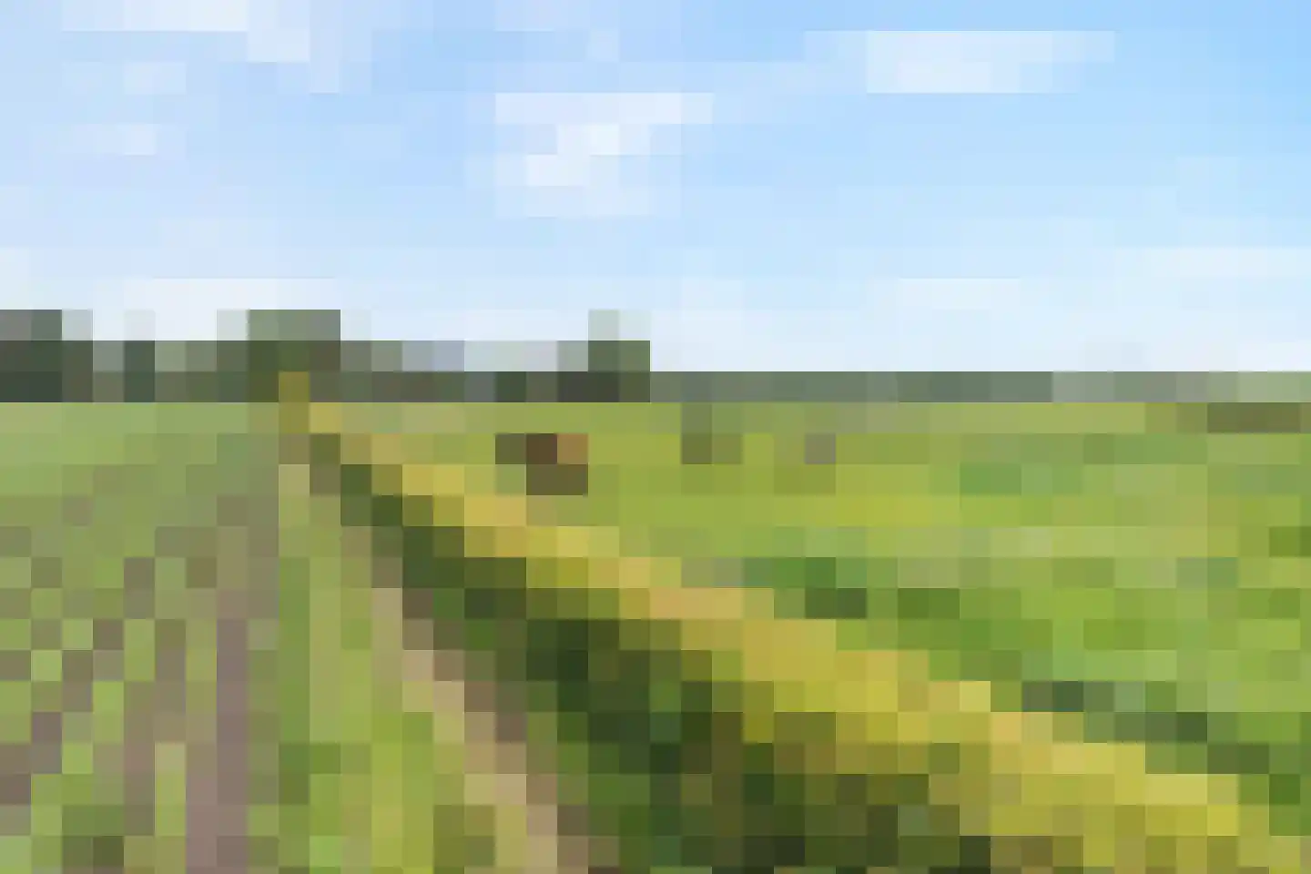 Rieweg 1 Wachtum thumbnail 16