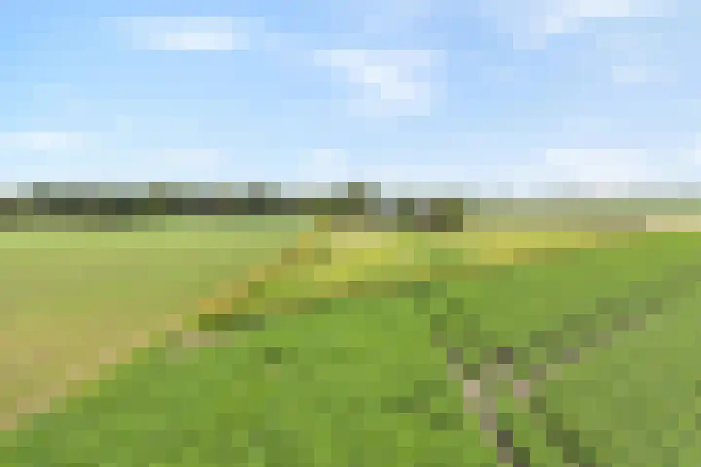 Rieweg 1 Wachtum thumbnail 17