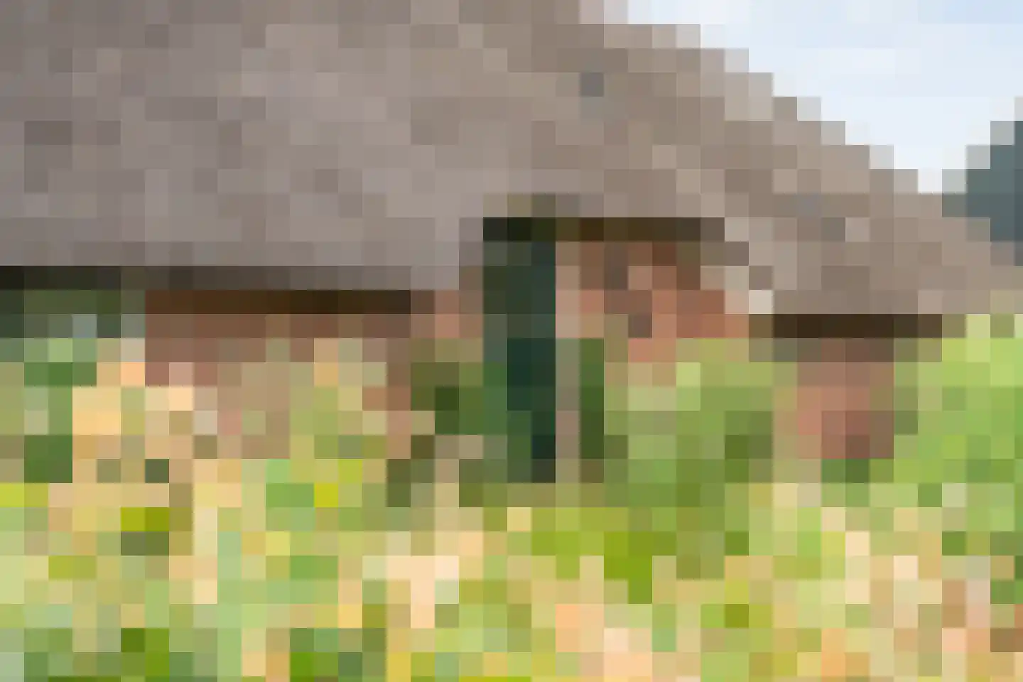 Rieweg 1 Wachtum thumbnail 21