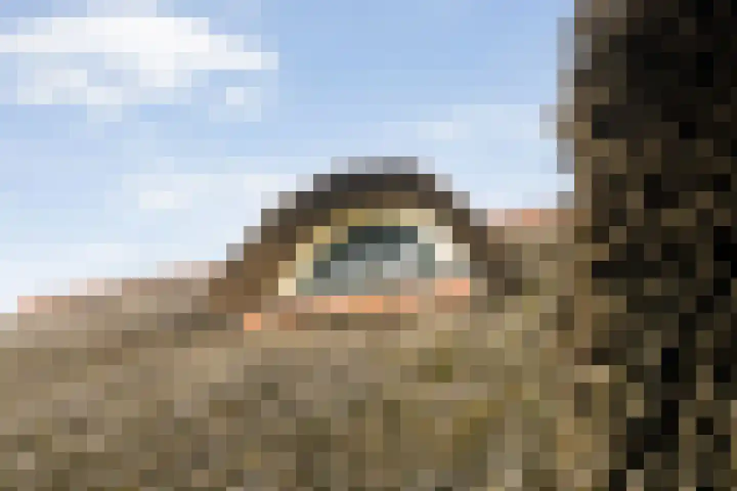 Rieweg 1 Wachtum thumbnail 22