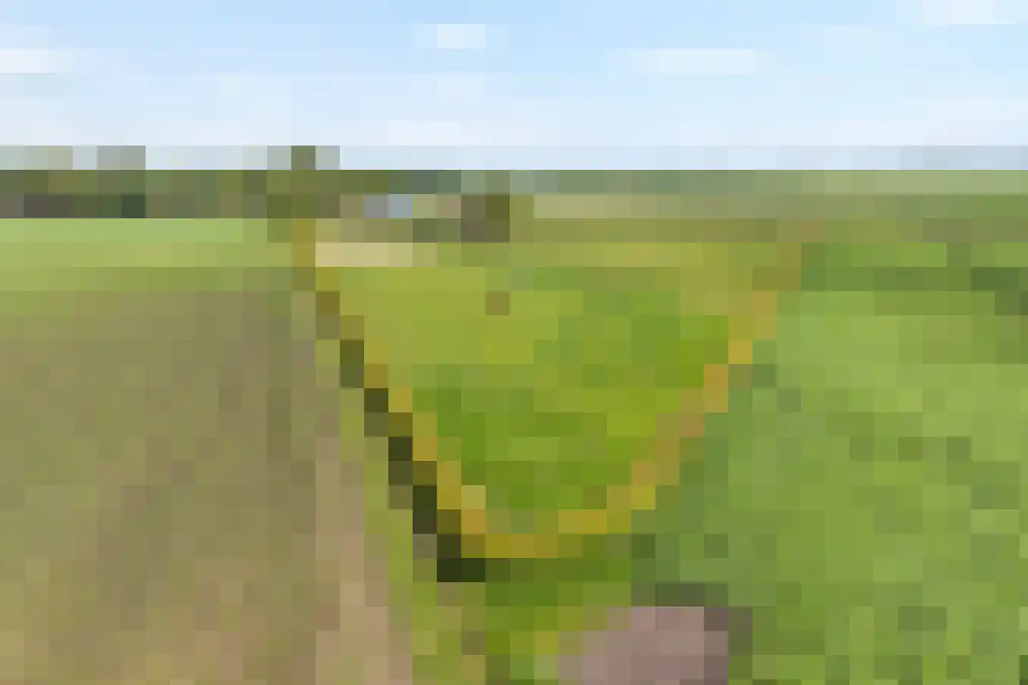 Rieweg 1 Wachtum thumbnail 4