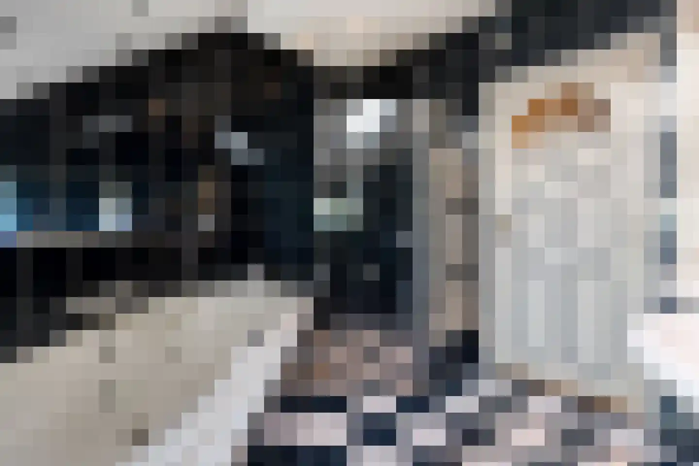 Rieweg 1 Wachtum thumbnail 47