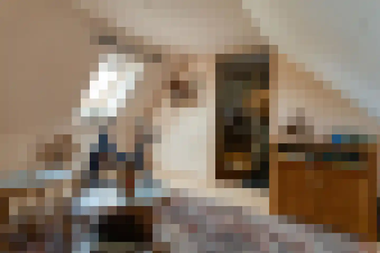 Rieweg 1 Wachtum thumbnail 49