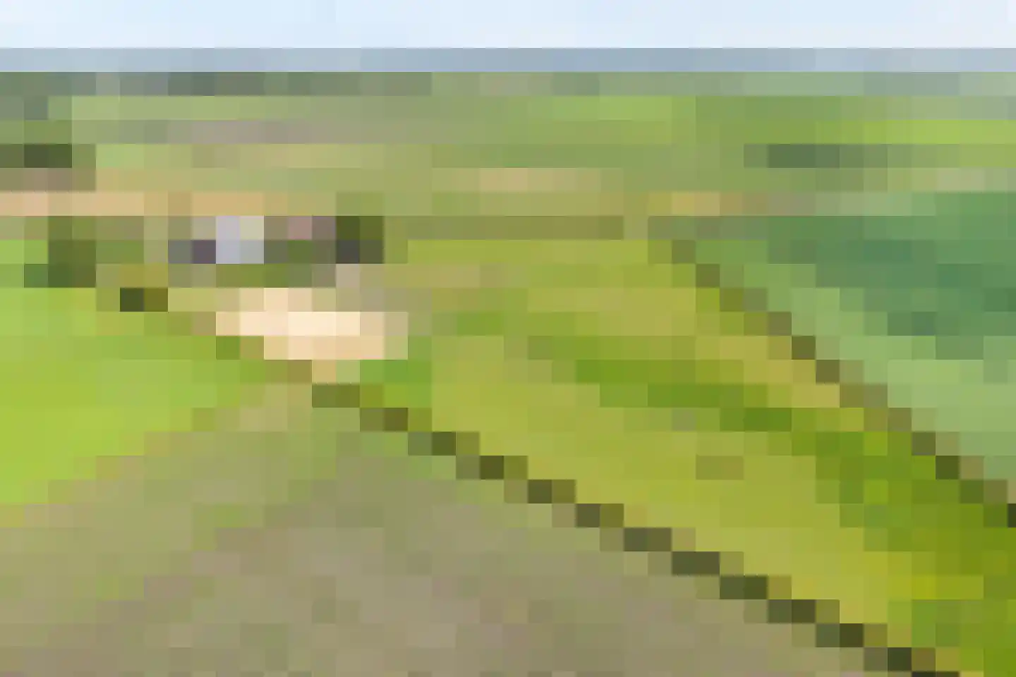 Rieweg 1 Wachtum thumbnail 5
