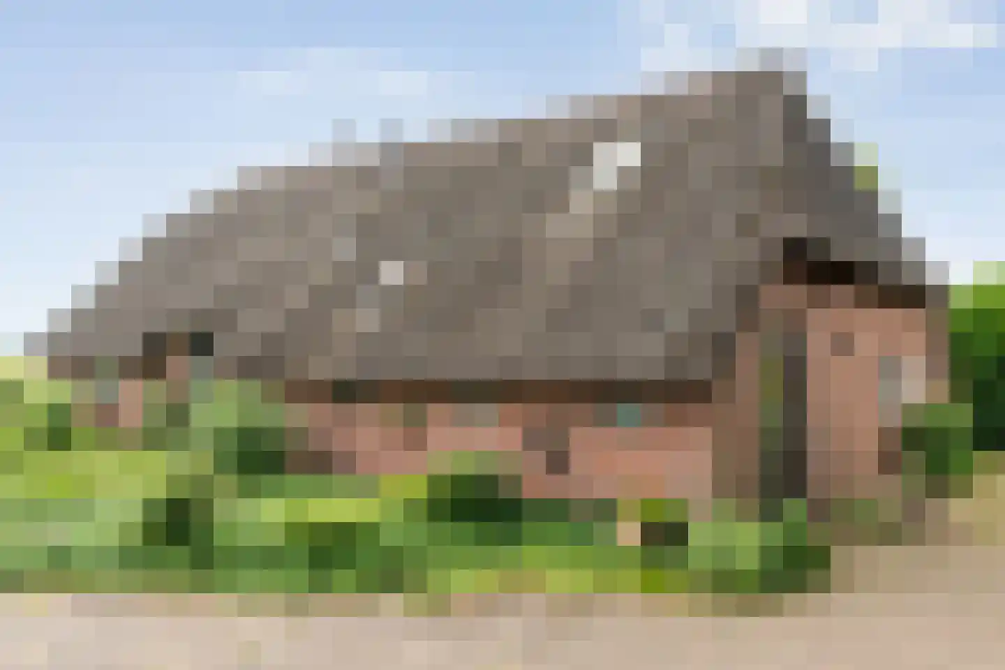 Rieweg 1 Wachtum thumbnail 54