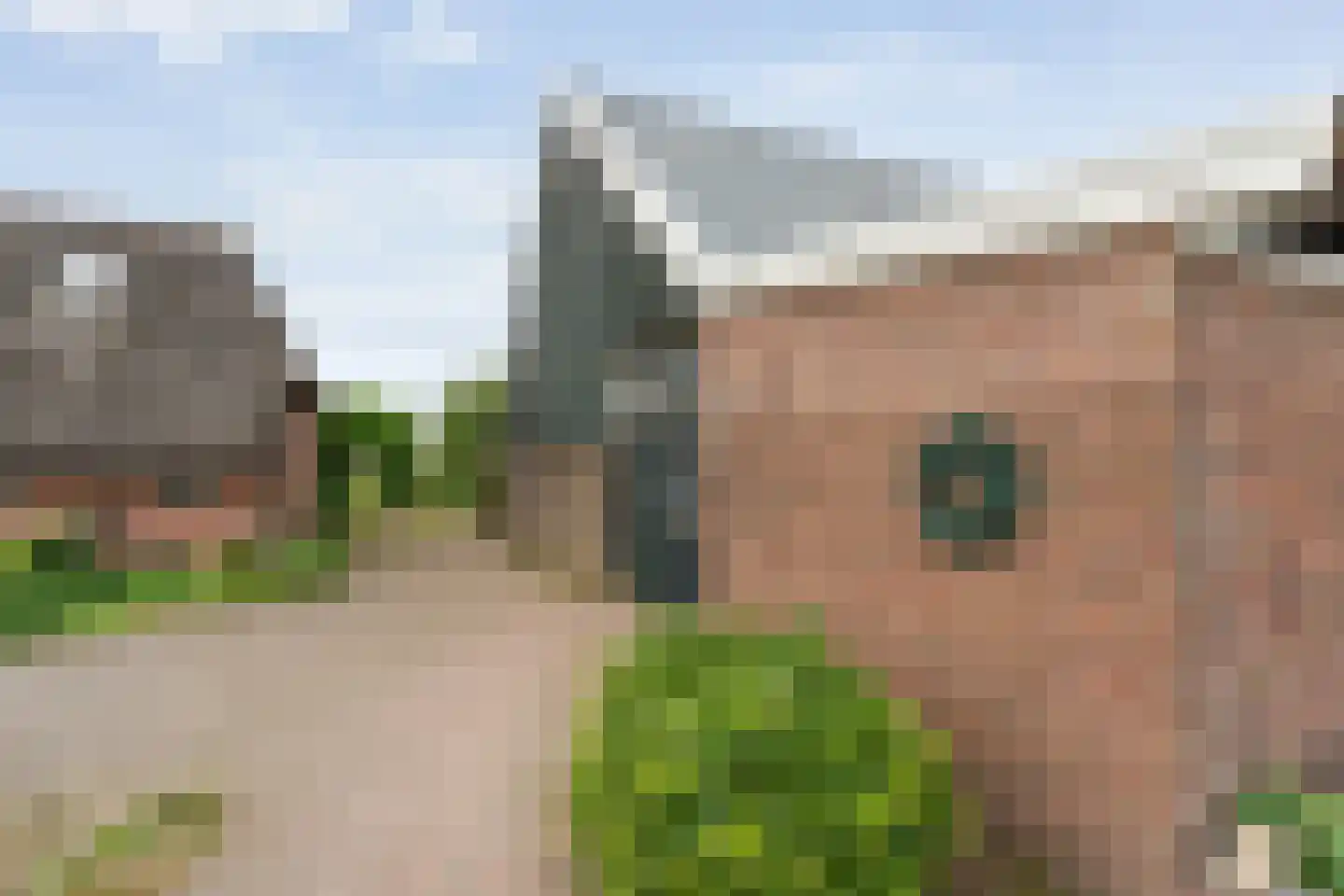 Rieweg 1 Wachtum thumbnail 57