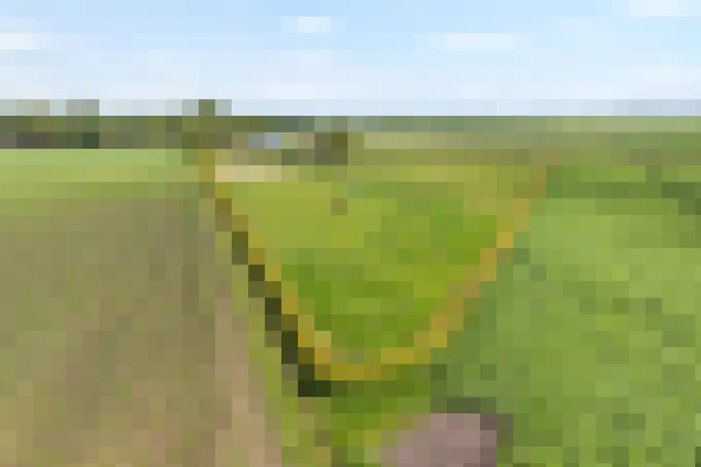 Rieweg 1 Wachtum thumbnail 6
