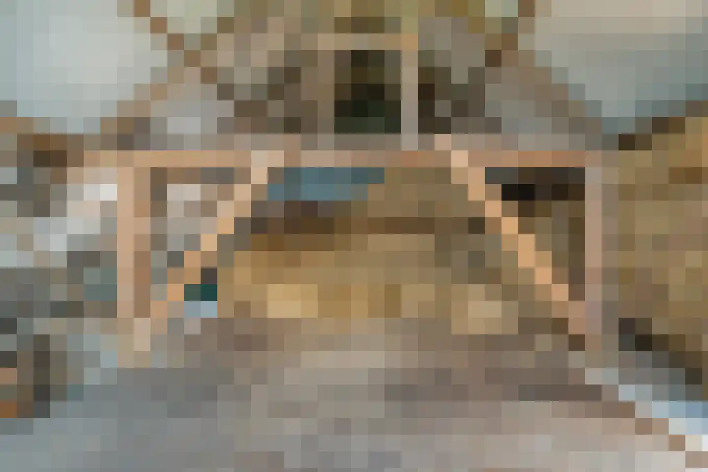 Rieweg 1 Wachtum thumbnail 63