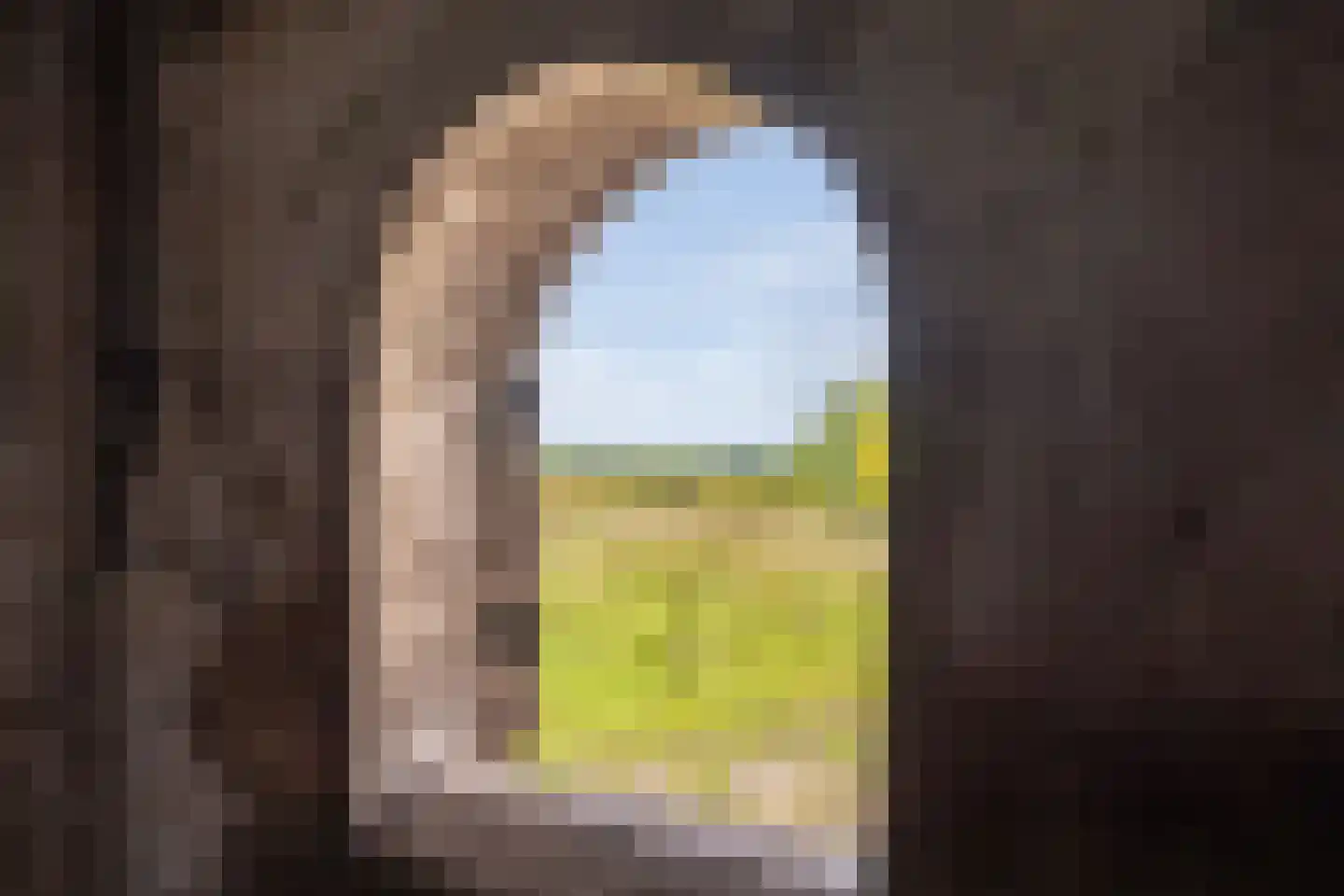 Rieweg 1 Wachtum thumbnail 64