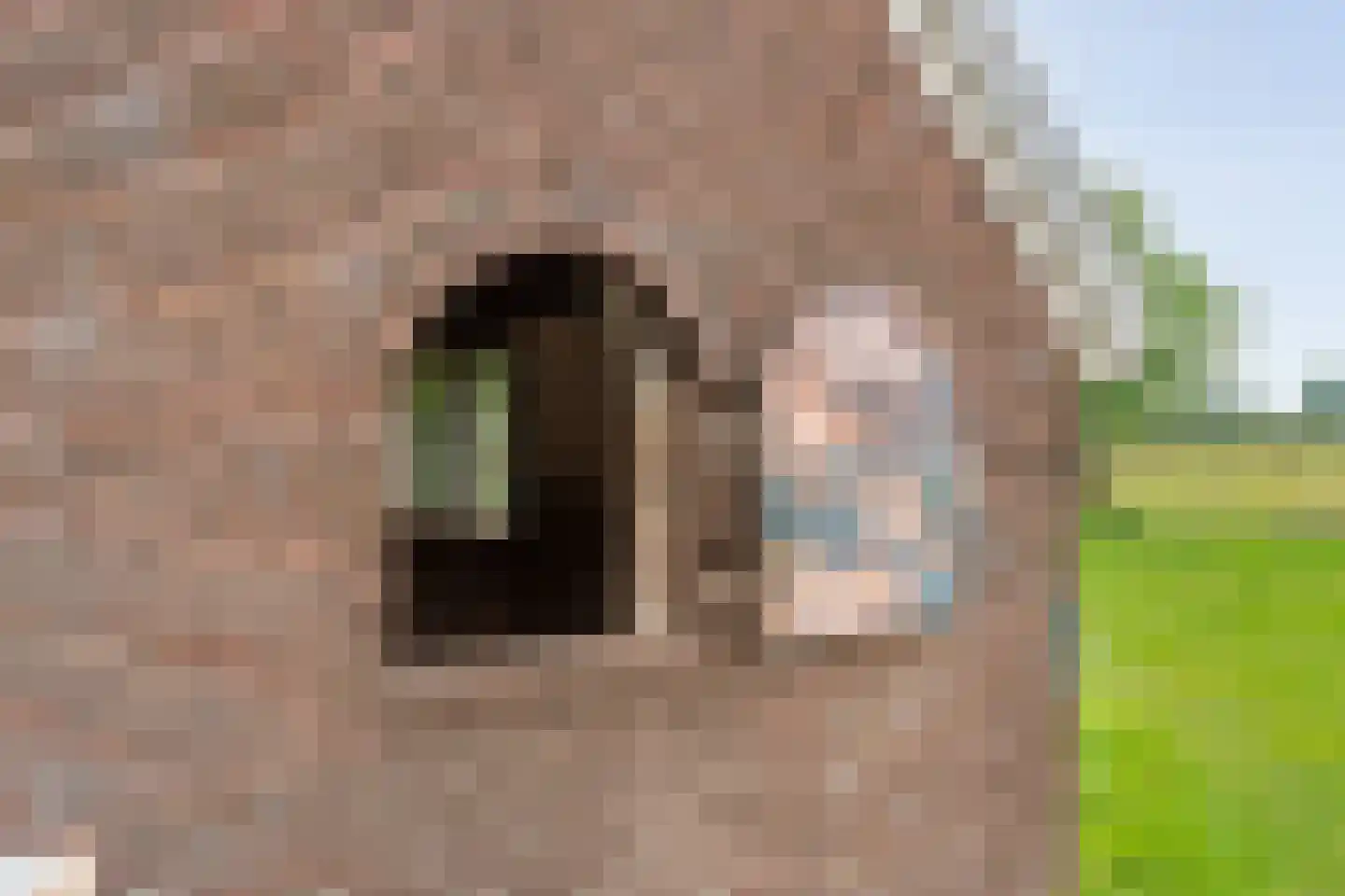 Rieweg 1 Wachtum thumbnail 65