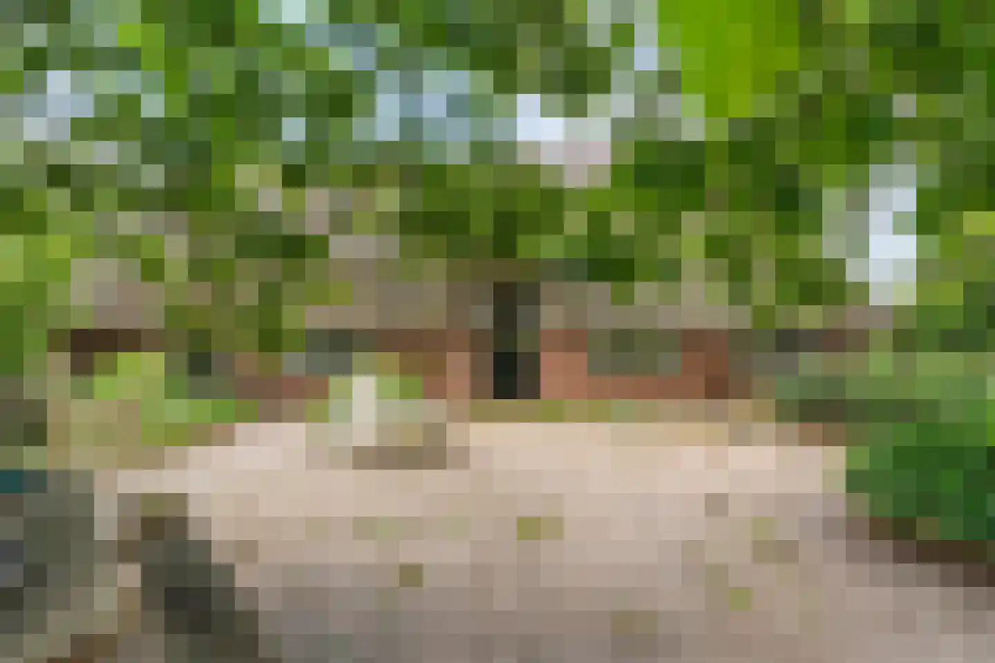 Rieweg 1 Wachtum thumbnail 67