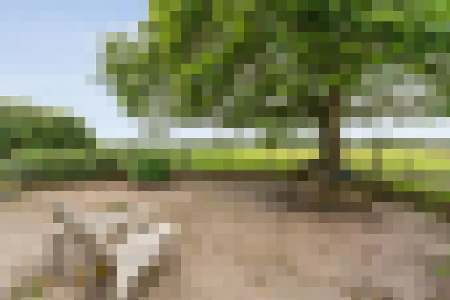 Rieweg 1 Wachtum thumbnail 68