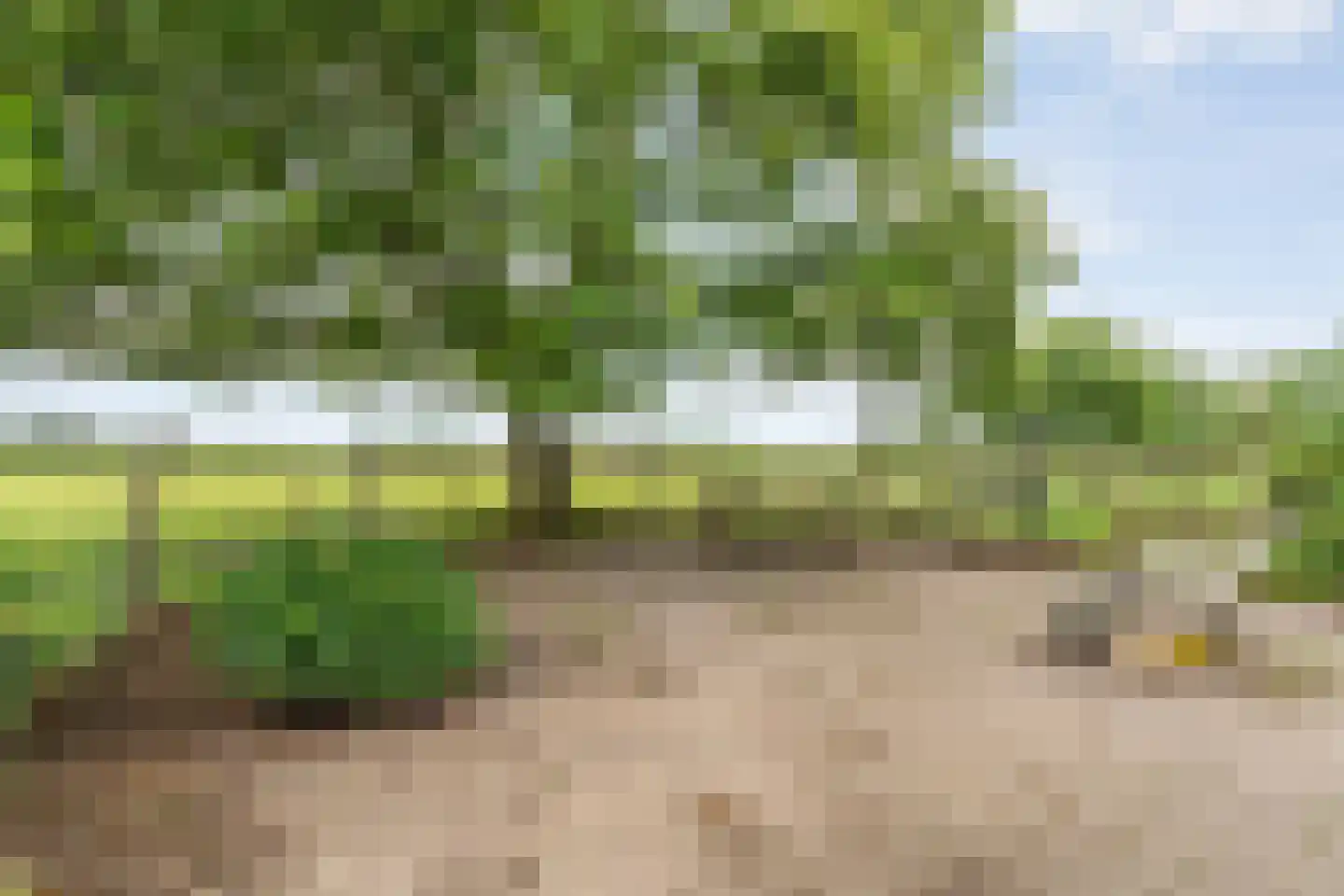 Rieweg 1 Wachtum thumbnail 69
