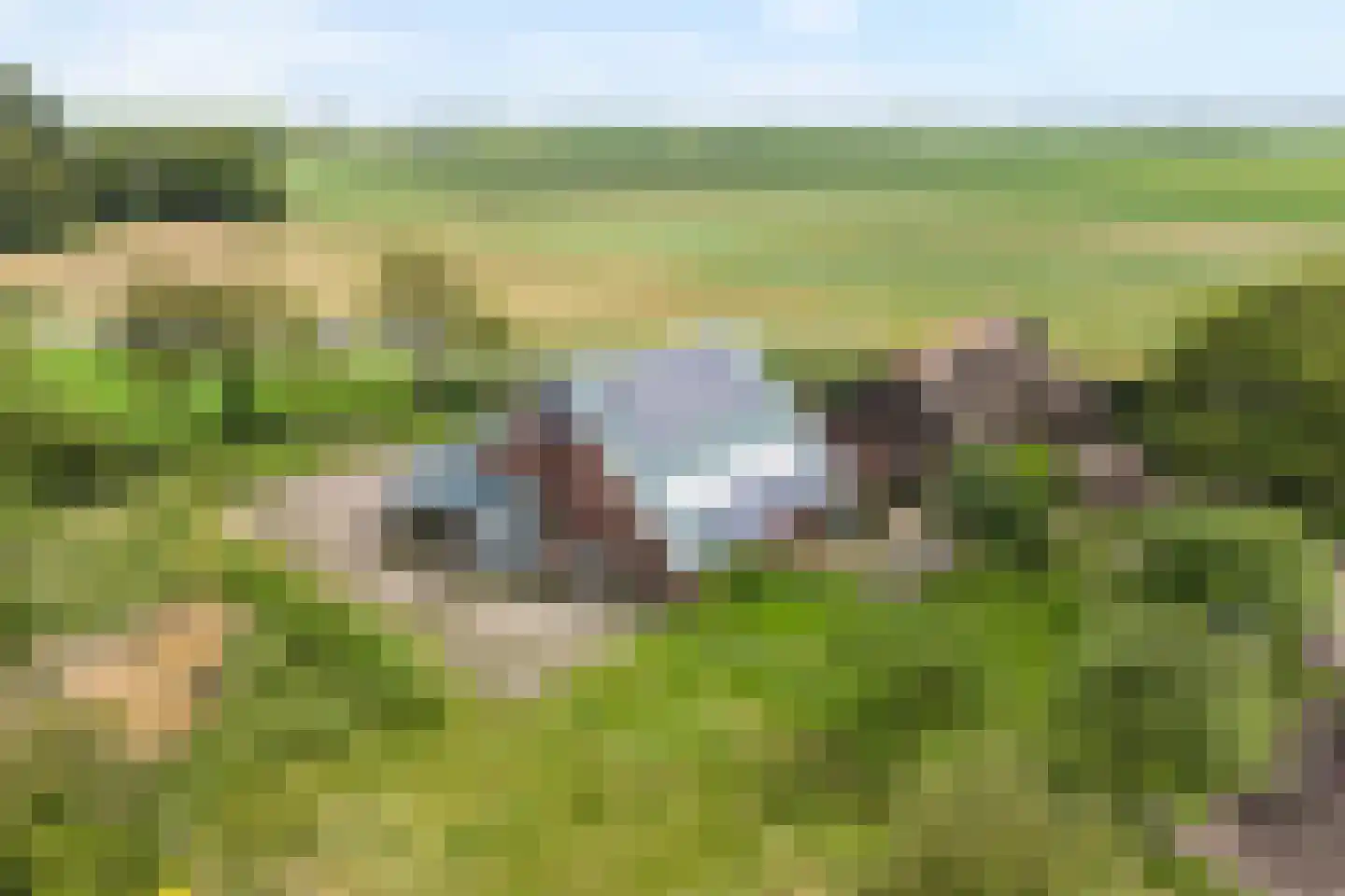 Rieweg 1 Wachtum thumbnail 7