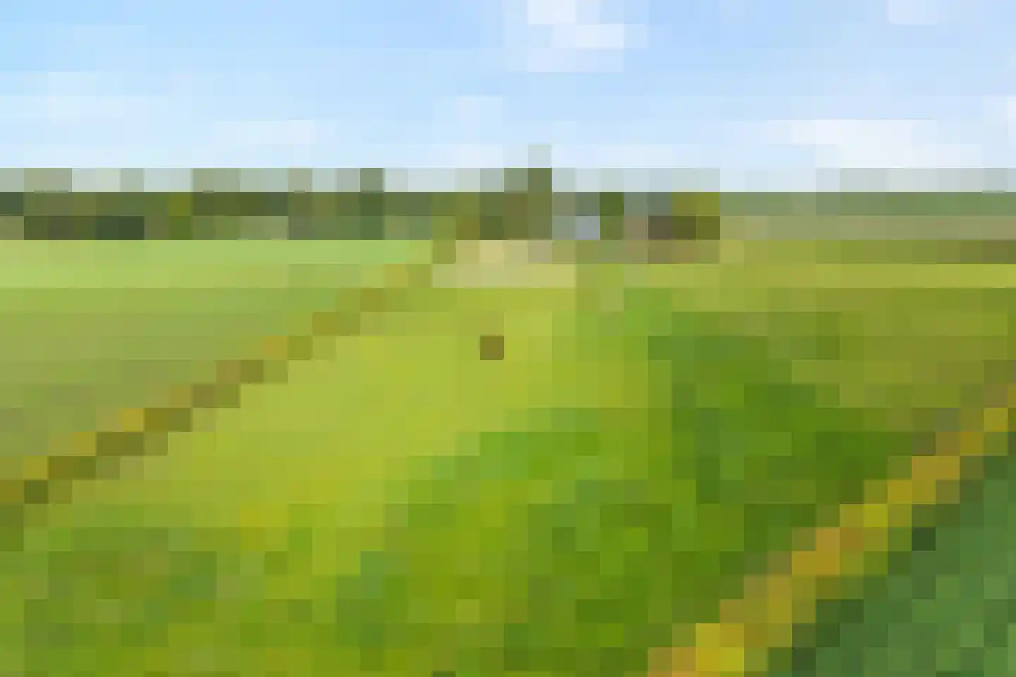 Rieweg 1 Wachtum thumbnail 7