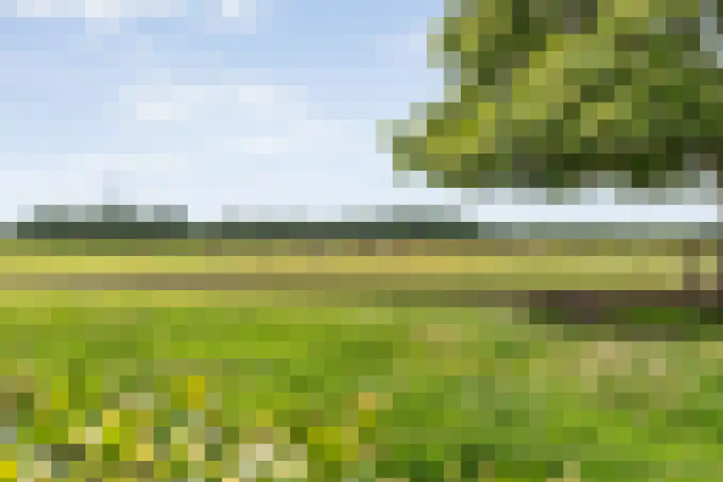 Rieweg 1 Wachtum thumbnail 70