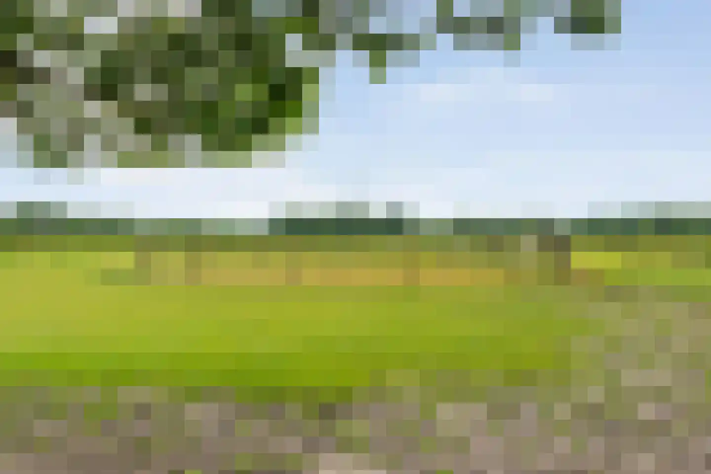 Rieweg 1 Wachtum thumbnail 71